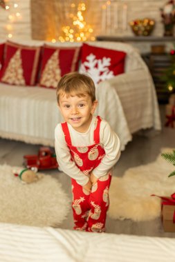 Noel 'de mutlu bir aile, birlikte güzel vakit geçiriyoruz, çocuklar ve yetişkinler Noel arifesinde süslü evde evcil köpekleriyle.