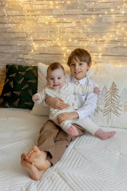 Noel 'de mutlu bir aile, birlikte güzel vakit geçiriyoruz, çocuklar ve yetişkinler Noel arifesinde süslü evde evcil köpekleriyle.