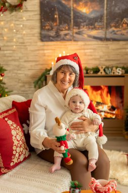 Noel 'de mutlu bir aile, birlikte güzel vakit geçiriyoruz, çocuklar ve yetişkinler Noel arifesinde süslü evde evcil köpekleriyle.