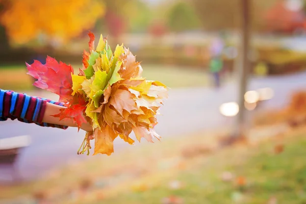 秋天红色和橙色的枫叶在孩子手中的花束 — 图库照片