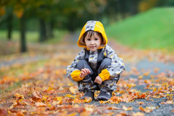 Menino, brincando na chuva no parque de outono — Fotografia de Stock