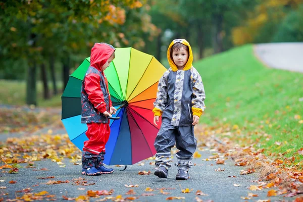 Двоє чарівних дітей, брати хлопчики, грають у парку з парасолькою — стокове фото