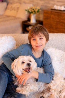 Sevimli küçük çocuk, boz, evcil köpeğiyle oynaşıyor, evde kötü huylu, sevimli çocuk ve köpek