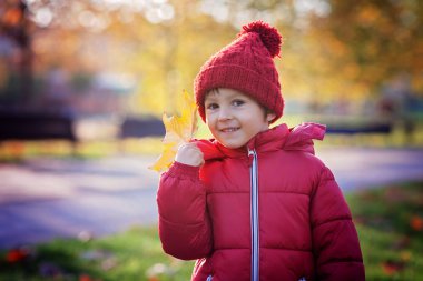 parkta biraz heyecanlı çocuk oynamaya kalkıyor