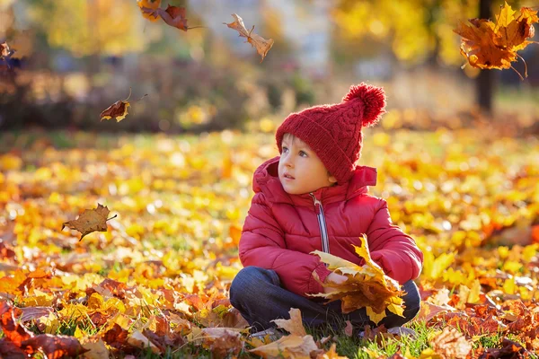 Pequeno menino animado brincando com folhas no parque — Fotografia de Stock