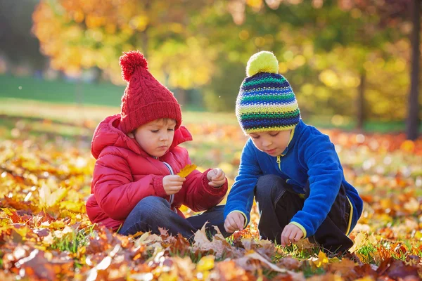 Милые маленькие взволнованные мальчики, братья, играющие в парке — стоковое фото