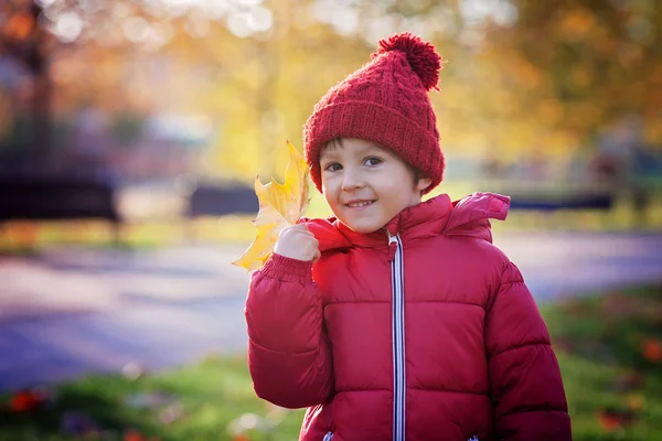 Piccolo ragazzo eccitato che gioca con le foglie nel parco — Foto Stock