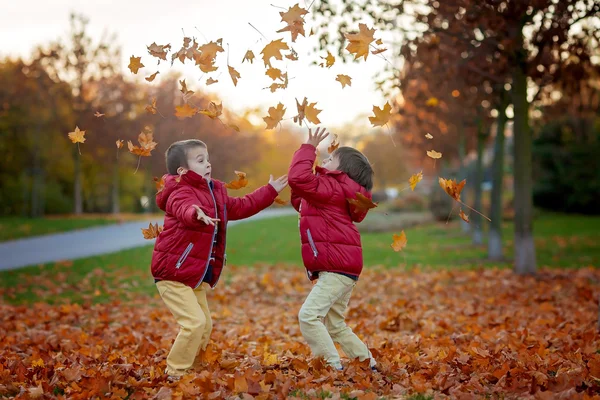 两个孩子，男孩兄弟玩树叶在秋天的公园 — 图库照片