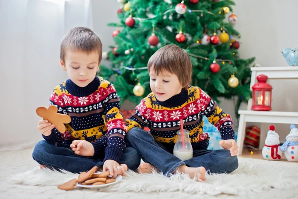 Dos adorables niños, hermanos varones, comiendo galletas y bebiendo —  Fotos de Stock