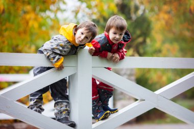 Two adorable children, boy brothers, playing in park on rainy da