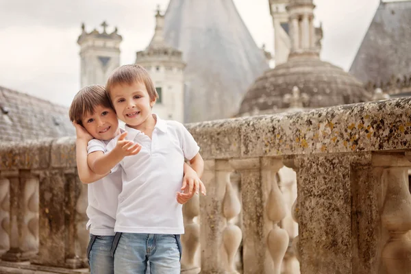 Dois meninos doces, irmãos se divertindo enquanto caminham em torno de um castelo — Fotografia de Stock