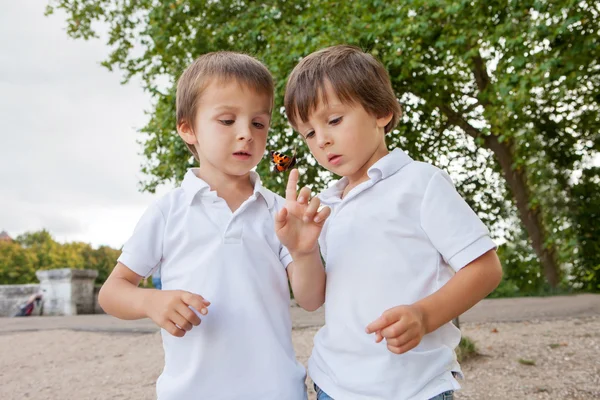 Cute little toddler boys, playing with ladybird outdoor in the p — Stock Photo, Image