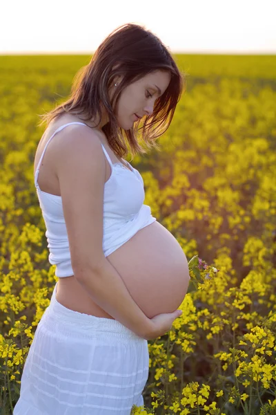 Wanita muda cantik yang sedang hamil di ladang pemerkosaan minyak zaitun — Stok Foto