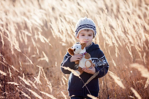 Niedliche kleine kaukasische Kind, Junge, hält flauschiges Spielzeug, umarmt es — Stockfoto