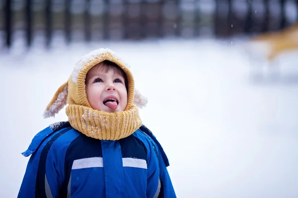 Menino doce, pegando flocos de neve no parque, playground, w — Fotografia de Stock