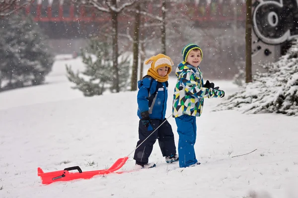 Twee kinderen, jongen brothers, sliding met bob in de sneeuw, winter — Stockfoto