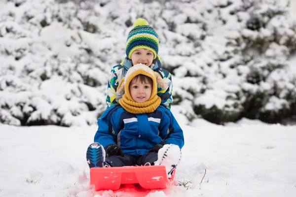 Dois miúdos, irmãos rapazes, a escorregar com o Bob na neve, no Inverno. — Fotografia de Stock