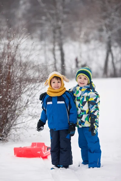 Zwei Kinder, zwei Brüder, Rutschen mit Bob im Schnee, Winter — Stockfoto