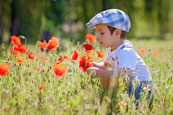 Niedlicher kleiner Junge mit Mohnblume auf Mohnfeld — Stockfoto