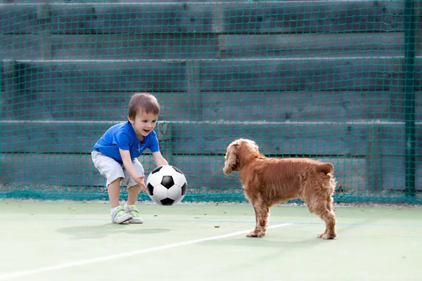 Anak kecil yang lucu, bermain sepak bola dengan anjingnya — Stok Foto