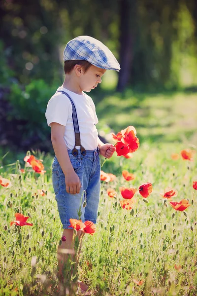 Cute little boy with poppy flower on poppy field — Stock Photo, Image