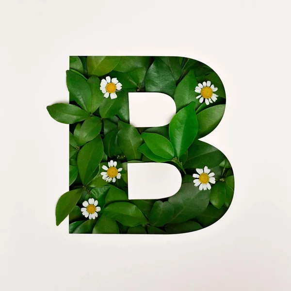 Lettertype Ontwerp Abstracte Alfabet Lettertype Met Bladeren Bloemen Realistische Bladeren — Stockfoto