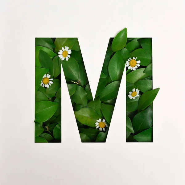Font design, Abstract alphabet font with leaves and flower, realistic leaves typography - M