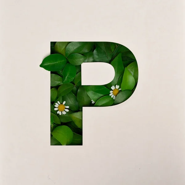 Font design, Abstract alphabet font with leaves and flower, realistic leaves typography - P