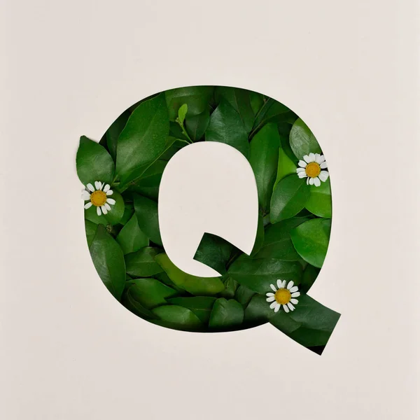 Font Design Abstract Alphabet Font Leaves Flower Real Leaves Typography — 스톡 사진