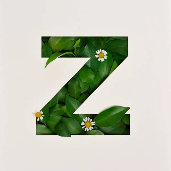 Font Design Abstract Alphabet Font Leaves Flower Real Leaves Typography — 스톡 사진