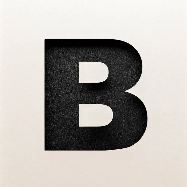 Zwart Leder Lettertype Ontwerp Abstracte Alfabet Lettertype Realistische Typografie — Stockfoto