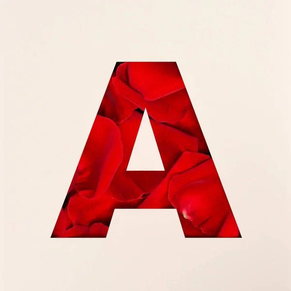 Lettertype Ontwerp Abstracte Alfabet Lettertype Met Rozenblaadjes Realistische Bloemtypografie — Stockfoto