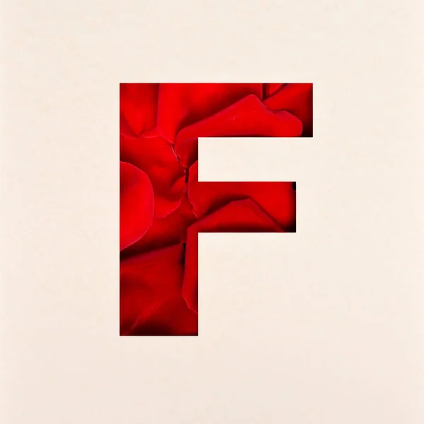 Font Design Abstract Alphabet Betűtípus Rose Petals Realistic Flower Typography — Stock Fotó
