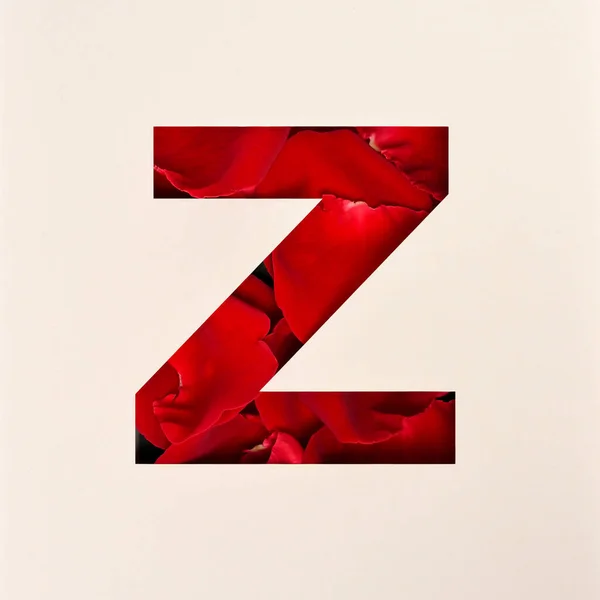 Font design, Abstract alphabet font with Rose petals, realistic flower typography - Z