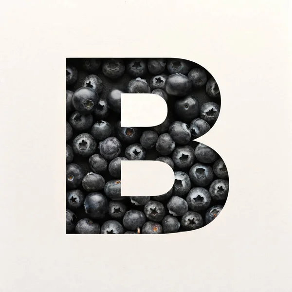 Lettertype Ontwerp Abstracte Alfabet Lettertype Met Bosbes Realistische Fruit Typografie — Stockfoto
