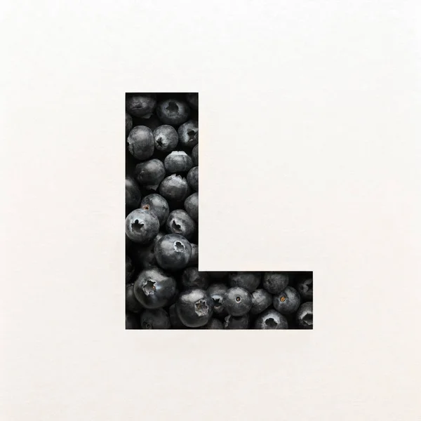 Lettertype Ontwerp Abstracte Alfabet Lettertype Met Bosbes Realistische Fruit Typografie — Stockfoto