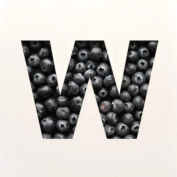 Lettertype Ontwerp Abstracte Alfabet Lettertype Met Bosbes Realistische Fruit Typografie — Stockfoto