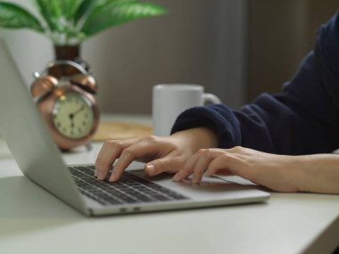 Dizüstü bilgisayarda daktilo yazan kadın ellerinin yan görünümü, bitki vazosu ve saatle dekore edilebilir.