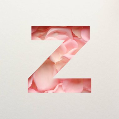 Yazı tipi tasarımı, pembe gül yapraklı soyut alfabe yazı tipi, gerçekçi çiçek tipografisi - Z