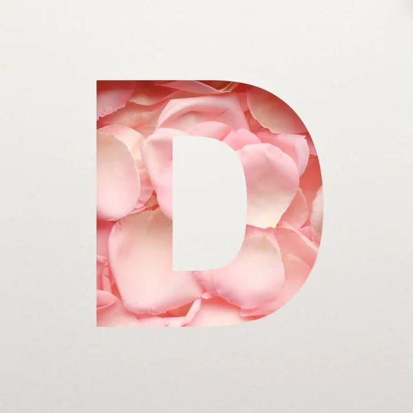 Schriftdesign Abstrakte Schrift Mit Rosa Rosenblättern Realistische Blütentypografie — Stockfoto