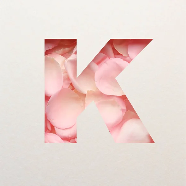 Lettertype Ontwerp Abstracte Alfabet Lettertype Met Roze Rozenblaadjes Realistische Bloemtypografie — Stockfoto