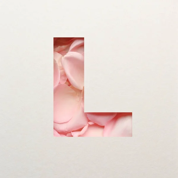 Font Design Abstract Alphabet Font Pink Rose Fond Real Flower — 스톡 사진