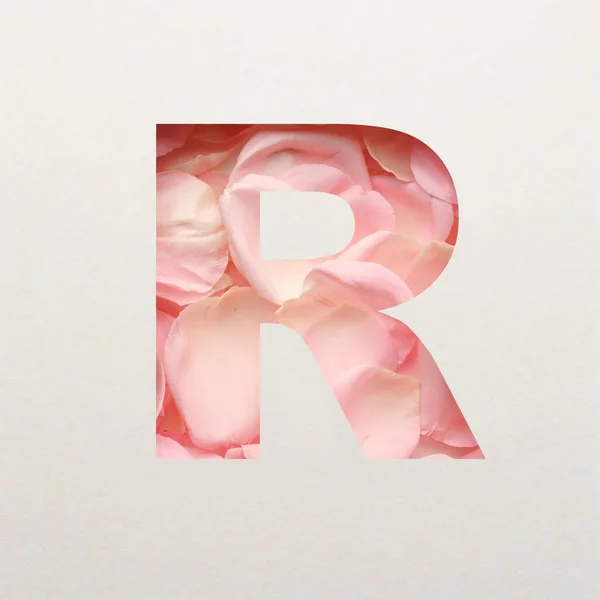 Font Design Abstract Alphabet Font Pink Rose Petals Realistic Flower — Stock Photo, Image