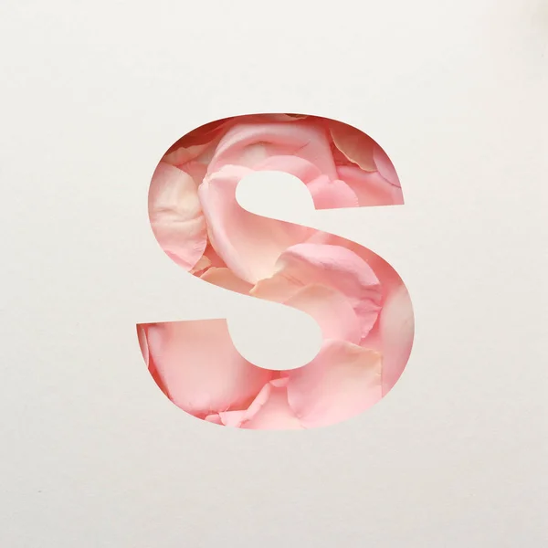 Font design, Abstract alphabet font with pink rose petals, realistic flower typography - S