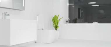 Modern ferah beyaz otel ya da çatı katı banyo iç tasarımı beyaz dolap, klozet ve küvet, leğen, ayna ve kapalı alan bitkisi. 3d görüntüleme, 3d illüstrasyon