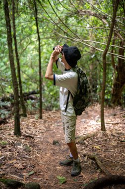 Sırt çantalı turist elinde dürbünle tek başına yürürken ya da ormanda yürürken vahşi kuşlara bakıyor. Yeşil Manzara, Doğa Yolları, Seyahat Gezisi.