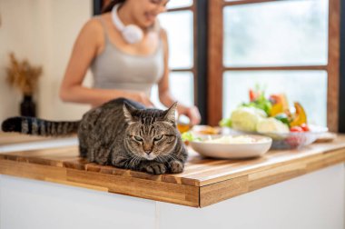 Spor giyim işindeki kadınlar yemek pişirirken ahşap mutfak tezgahına çömelmiş tekir kediyi kapat. Hayvan Sahibi, Ev Yapımı Yiyecekler, Sağlıklı Yaşam.