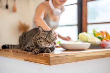Kadın yemek pişirirken ve kürke dokunurken kedinin ahşap mutfak tezgahına çömelmesini. Hayvan Sahibi, Ev Yapımı Yiyecekler, Sağlıklı Yaşam.