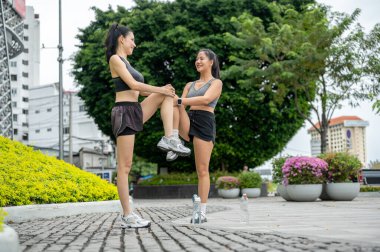 Spor giyimli Asyalı bayan arkadaşlar bahçe parkındaki kaldırımda egzersiz yapmadan önce ısınma hareketleri yapıyorlar. Çalışmak, Sağlıklı Yaşam, Kentsel Kamu Alanı.