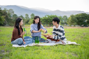 Asyalı bir kadın içiyor, hamburger yiyor ve yeşil çimen tarlasında piknik minderinde gitarlı bir erkek arkadaş. Grup Gezisi, Seyahat Gezisi, Doğada Takılmak.